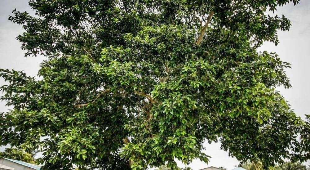 Asuruma View hotel - View 22