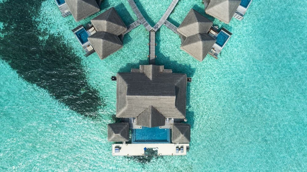 Taj Exotica Resort And Spa - View 154