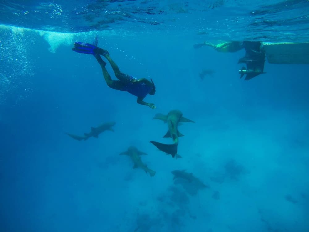 Adroit Beach Inn - View 47