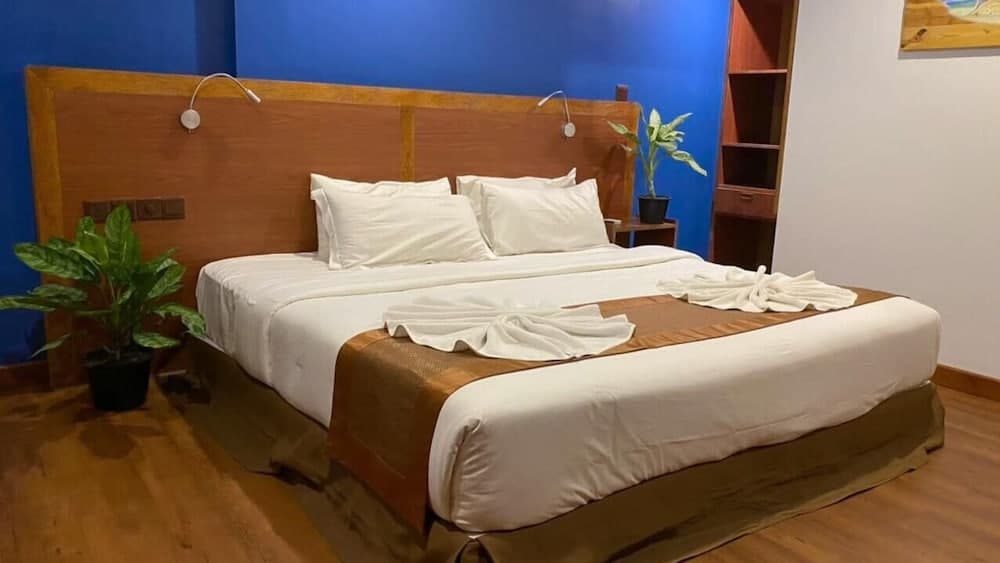 Maamadi Boutique - View 4