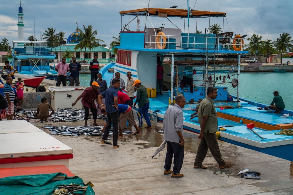 Annama Lodge And Dive - View 64