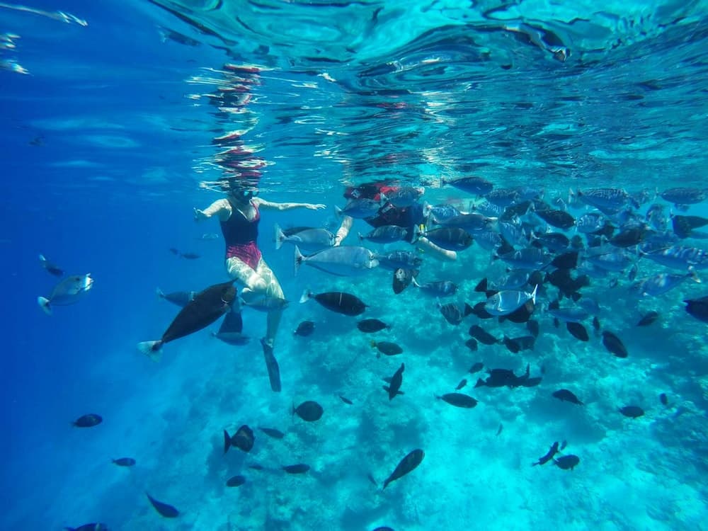 Adroit Beach Inn - View 199