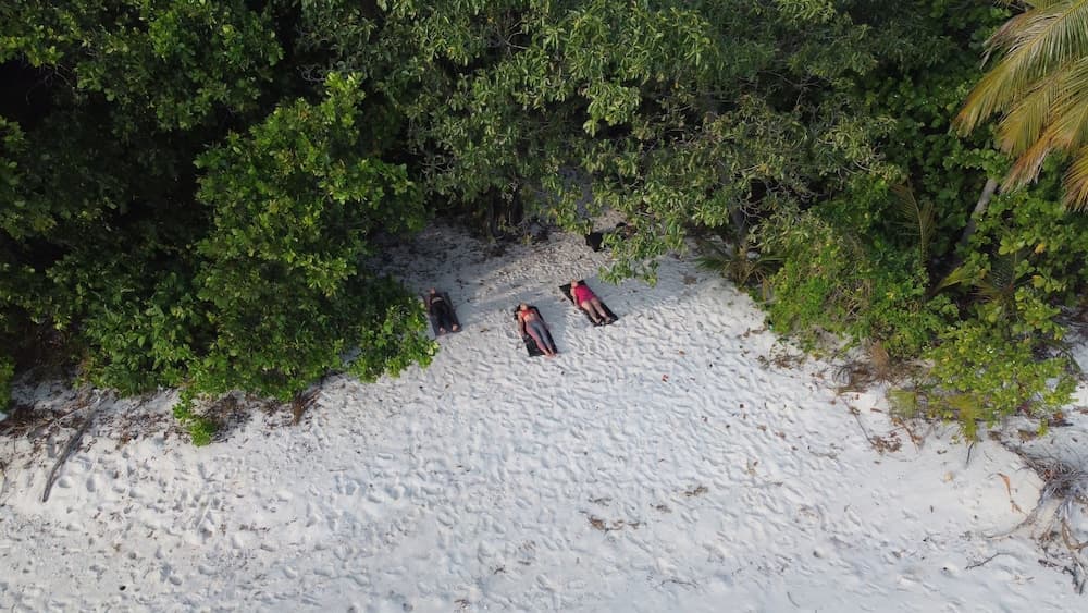 Stay Mikado - View 22