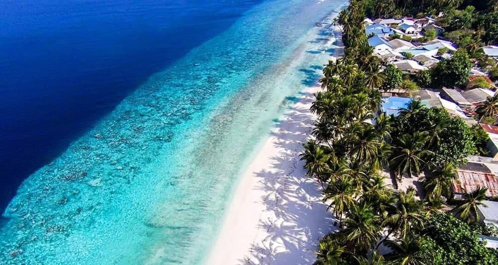 Madi Finolhu Guesthouse - View 28