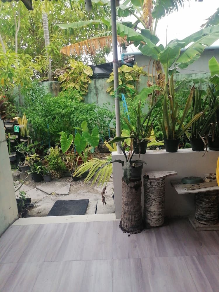 The Rose Garden House - View 9