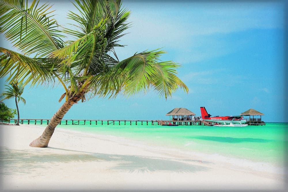 LUX* South Ari Atoll - View 86
