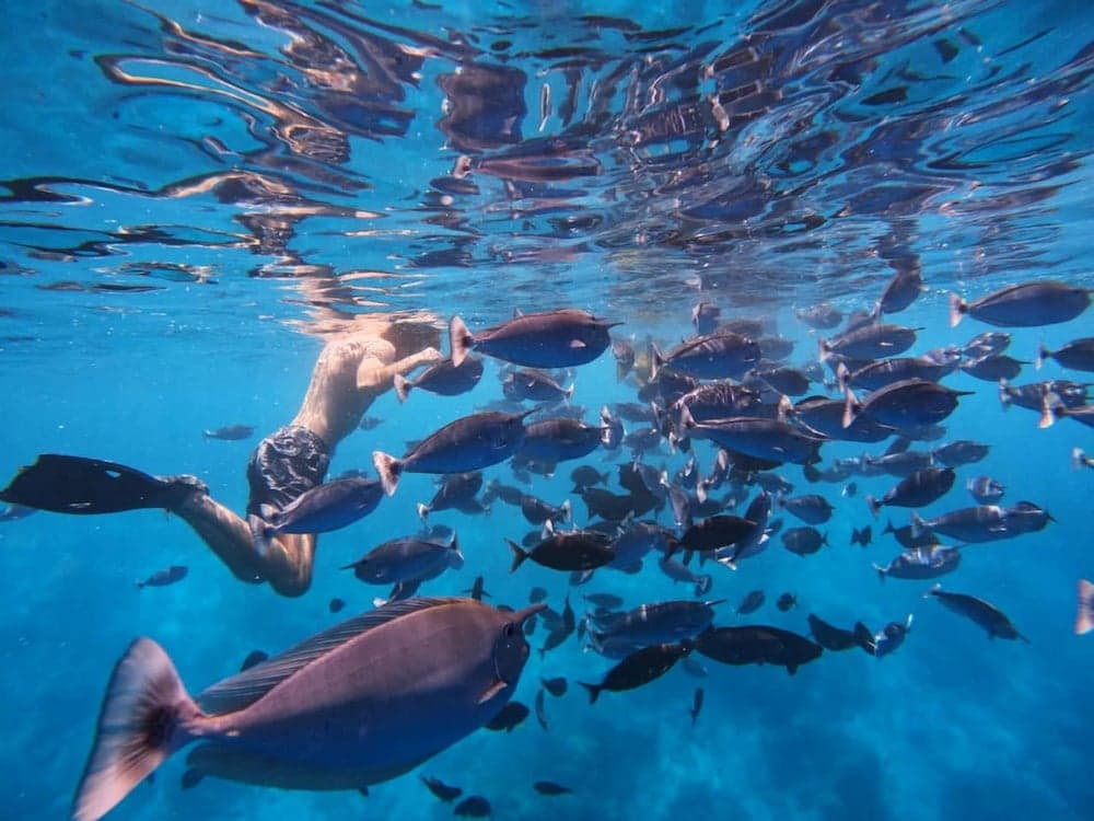 Adroit Beach Inn - View 149