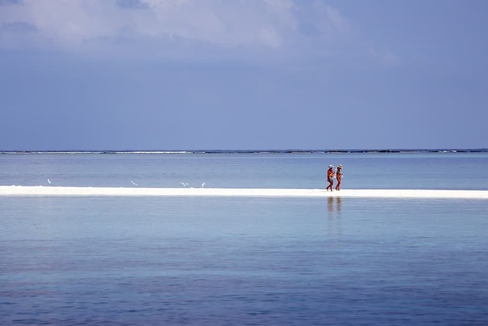 Gangehi Island Resort - View 34