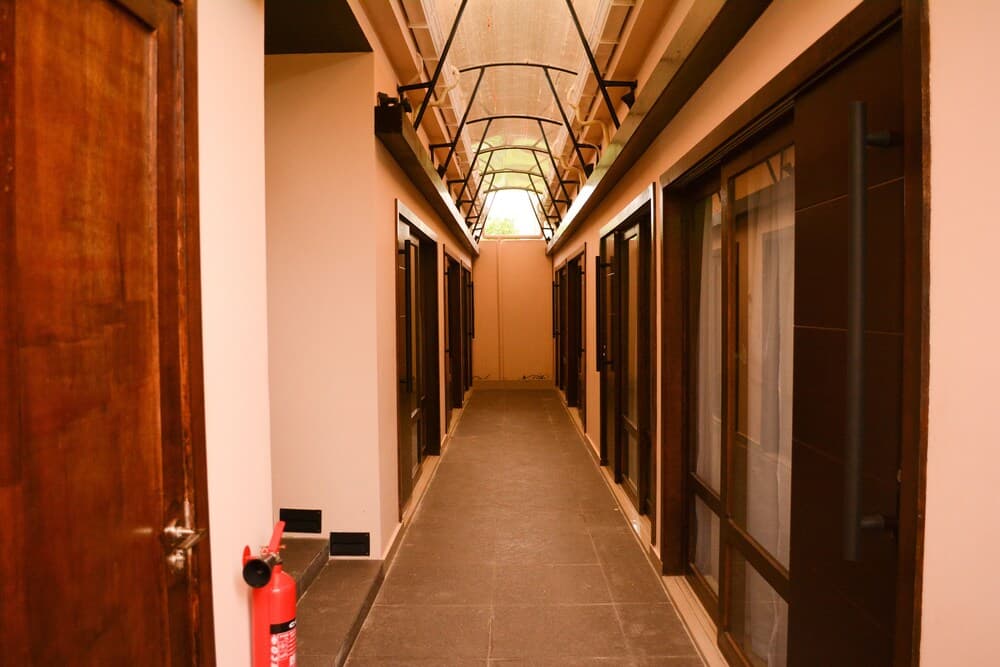 LVIS blancura - View 1