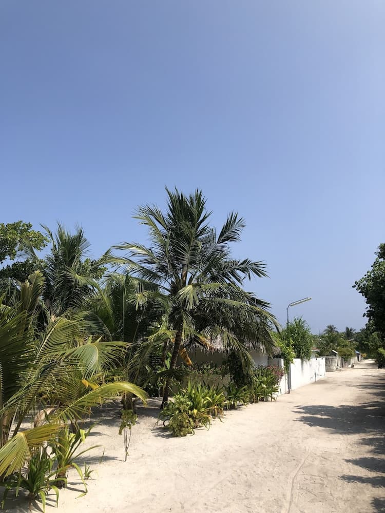 Tropical Sands Kelaa - View 15