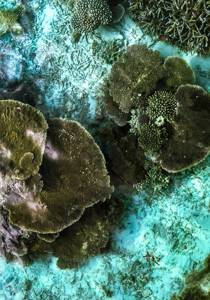 Hide Inn Blue - View 50