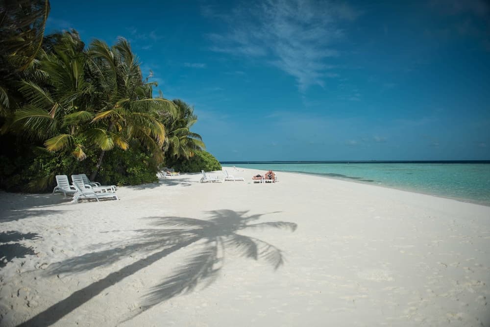 Biyadhoo Island Resort - View 16