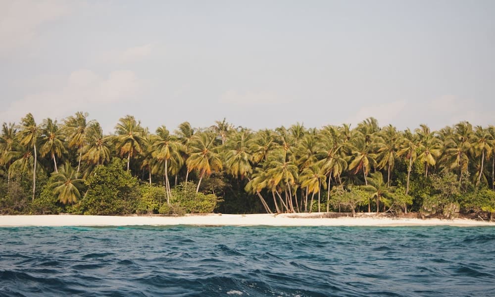 Gurahaana Guest House - View 15