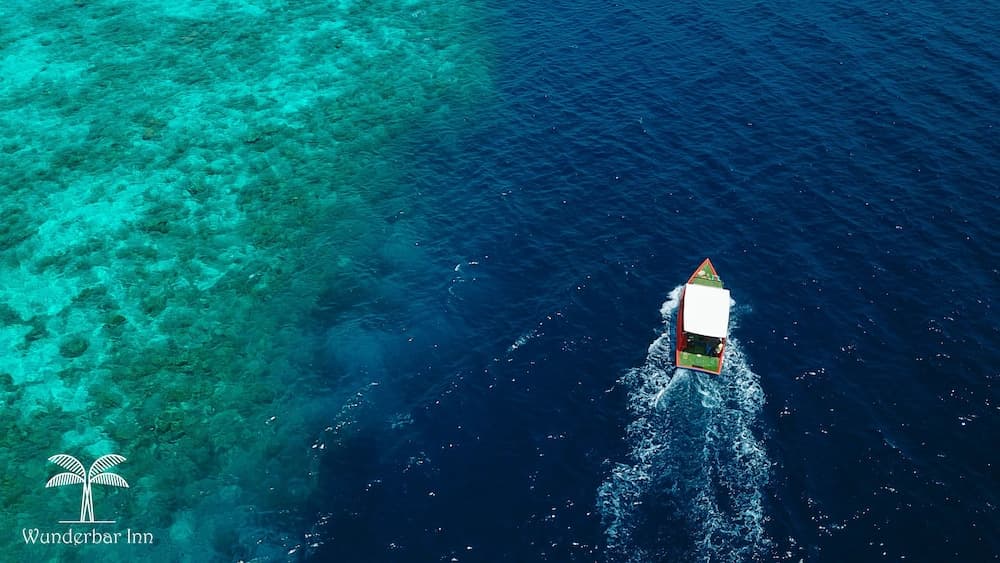 Wunderbar Inn - View 8