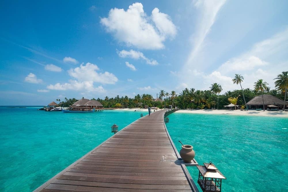 Constance Halaveli - View 161