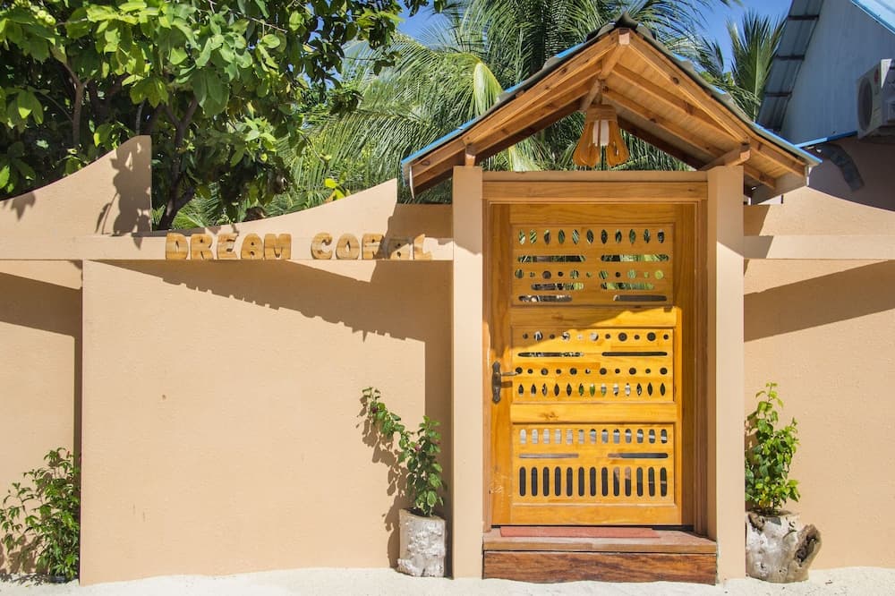 Dream Coral - View 5