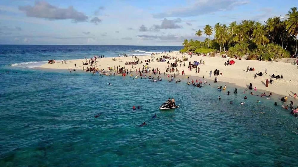 Scuba Residence - View 14