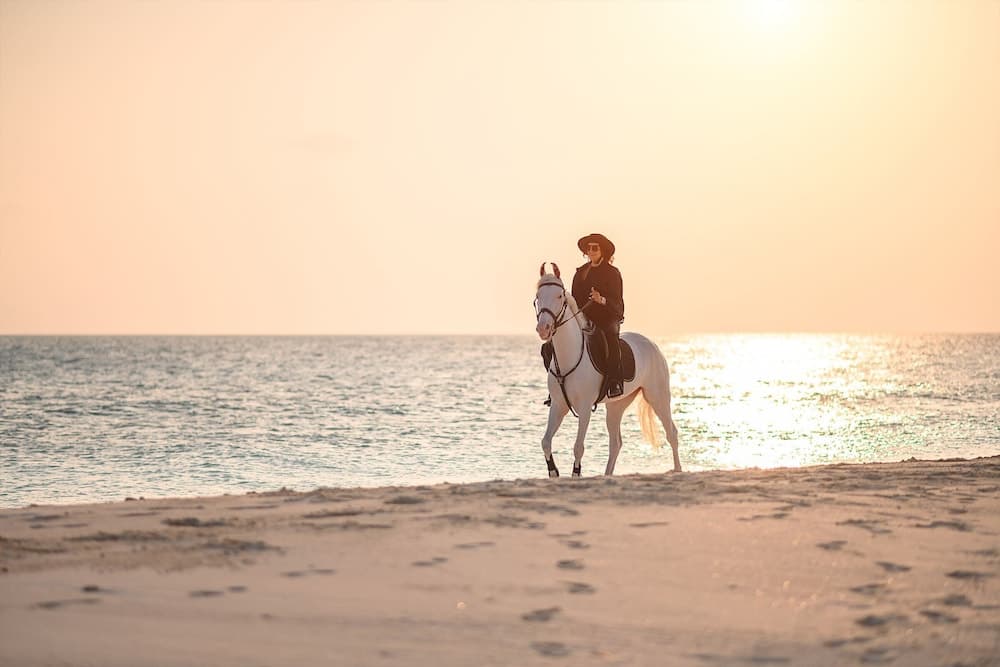 Siyam World Maldives - 24-Hour Premium All-inclusive with Free Transfer - View 215