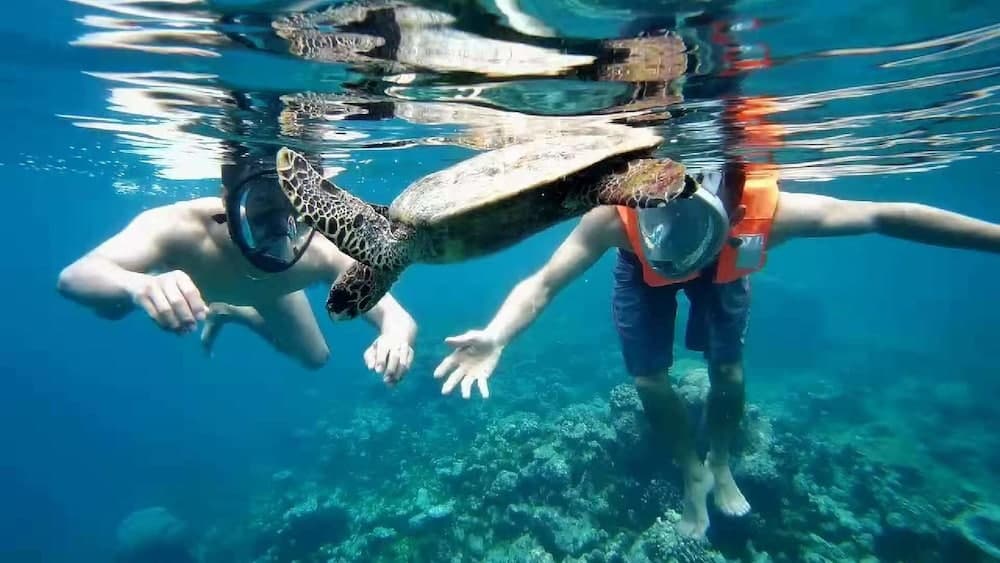 Mariana Inn Maldives - View 51