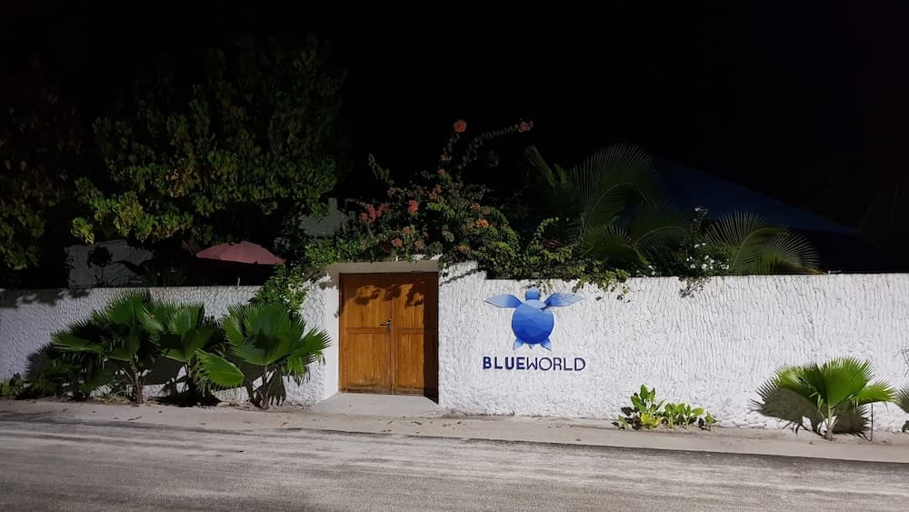 Blue World Dharavandhoo - View 15