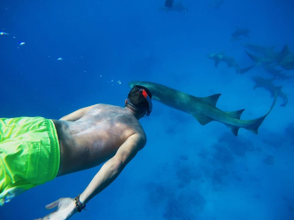 Adroit Beach Inn - View 120