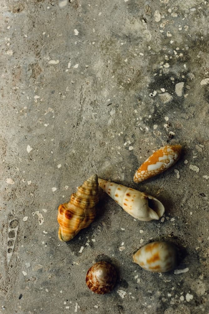 Mi Lugar Retreat and Spa - View 22