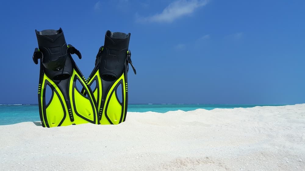 Jerrys Dive Lodge - View 10