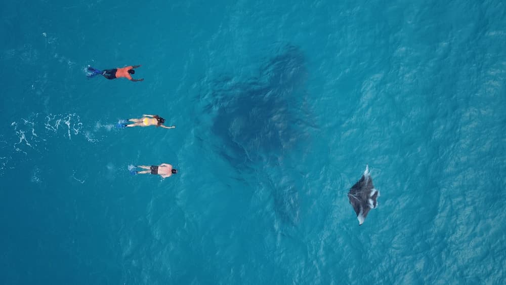 Ukulhas Beach Inn - View 65