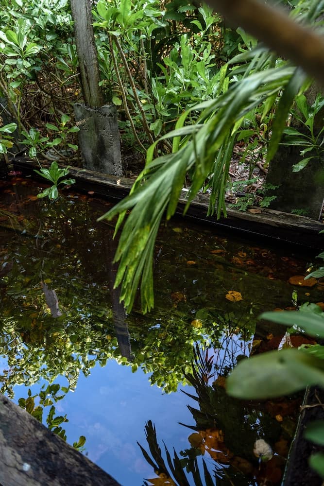 Mi Lugar Retreat and Spa - View 57