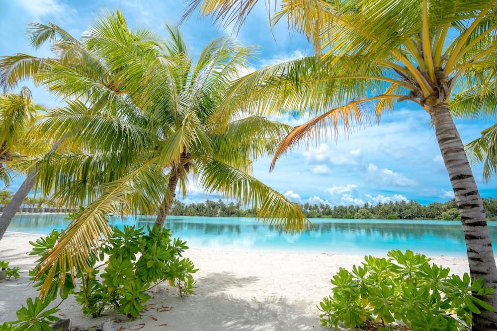 Rahaa Resort Maldives - View 85