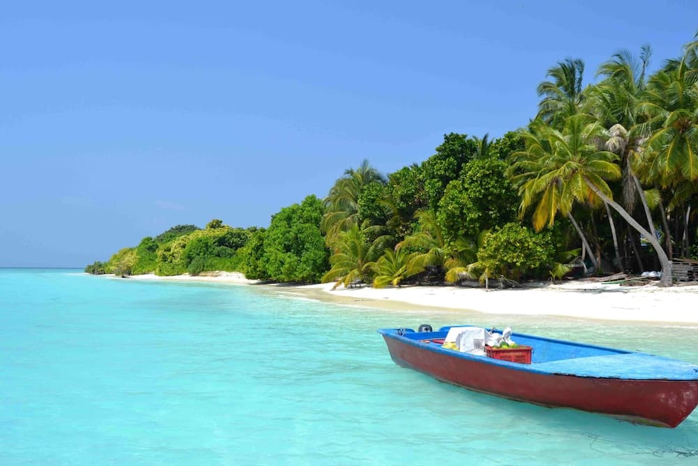 Hanifaru Stay - View 24