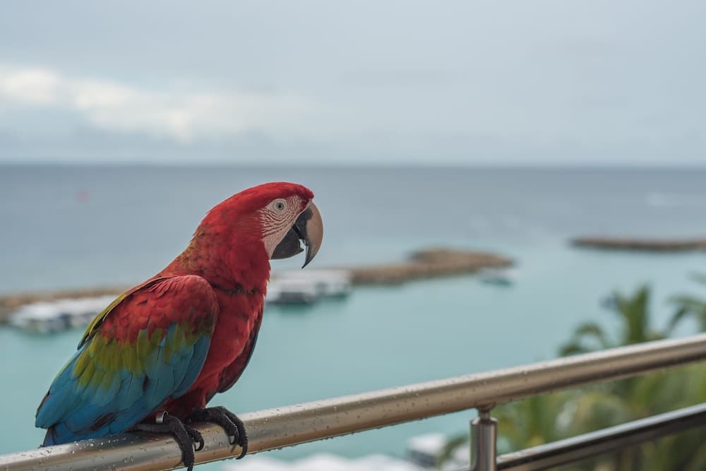 iCom Marina Sea View - View 33