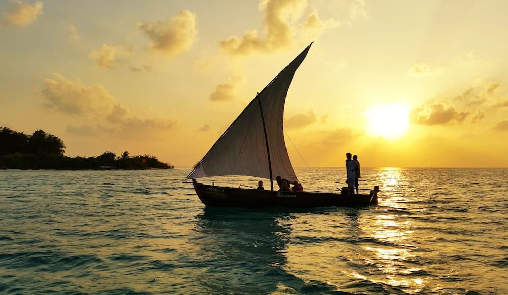 Dhiffushi White Sand Beach Hotel - View 15