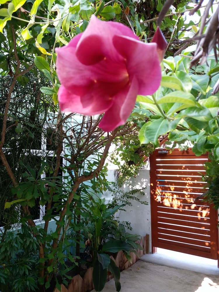 Ras Rana Lodge - View 14