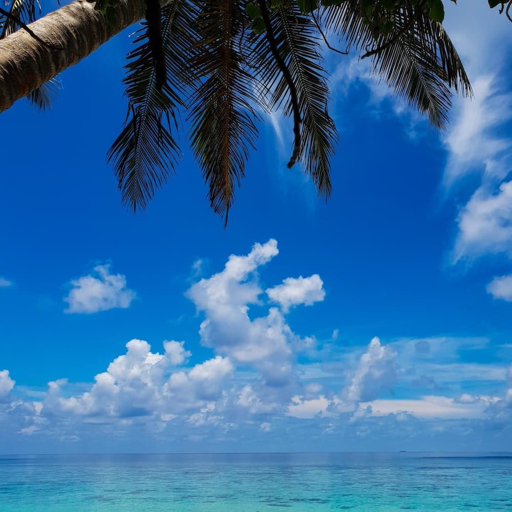 Thundi Sea View - View 47