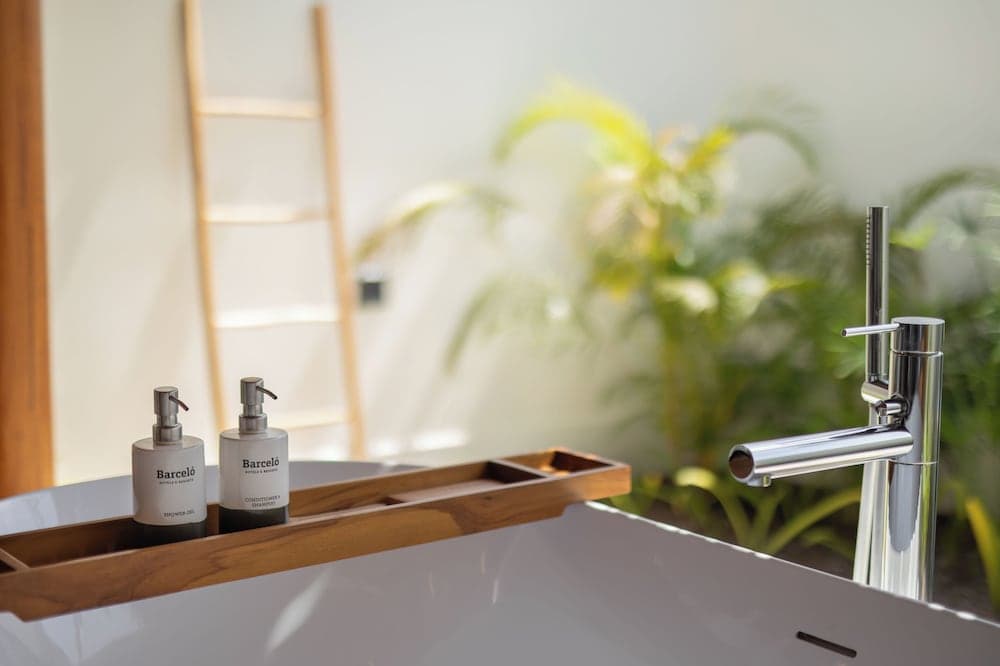 Barceló Whale Lagoon Maldives - View 21