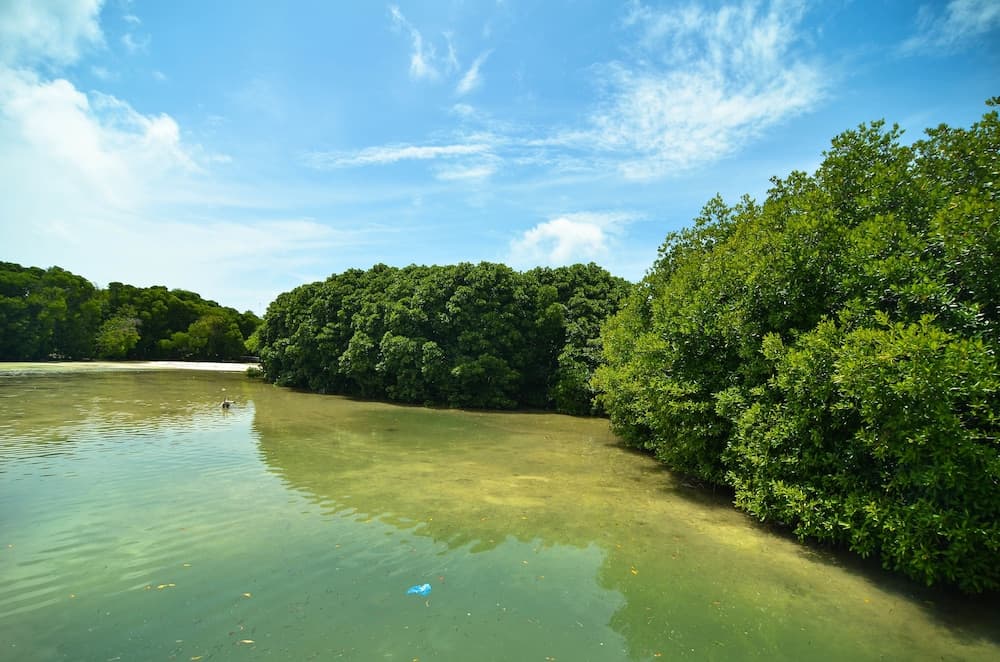 Huraa East Inn - View 21