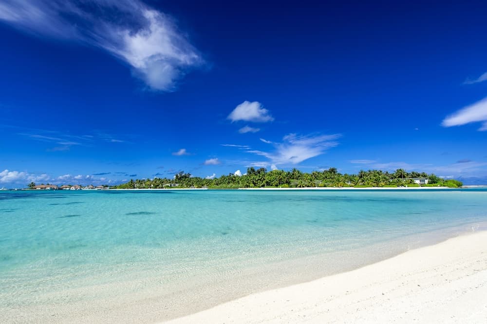 Ithaa Beach Maldives - View 58