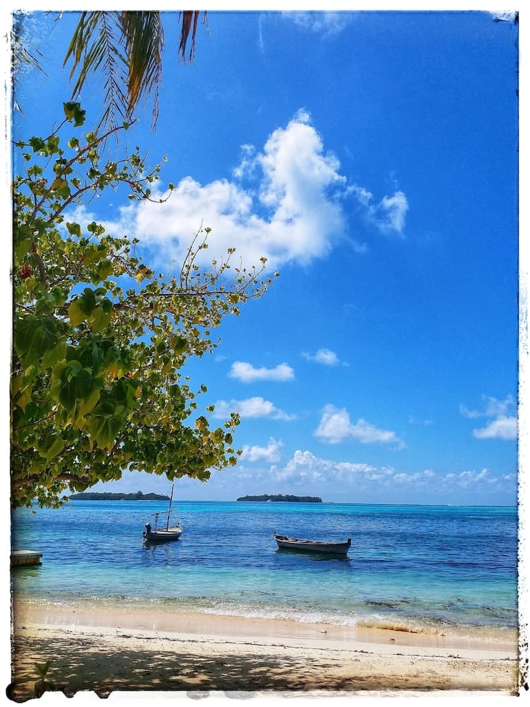 Medhufaru Inn - View 65