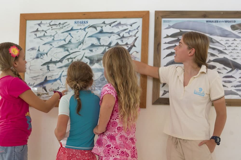 Kuramathi Maldives - View 32