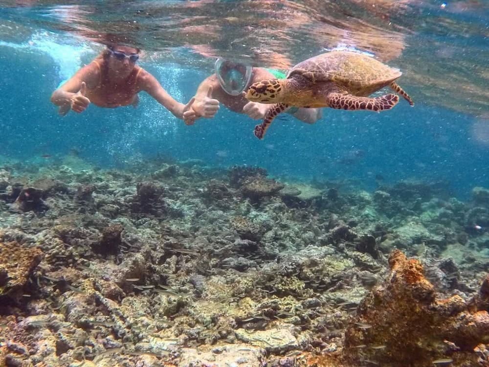 Belvedere Thoddoo - View 33