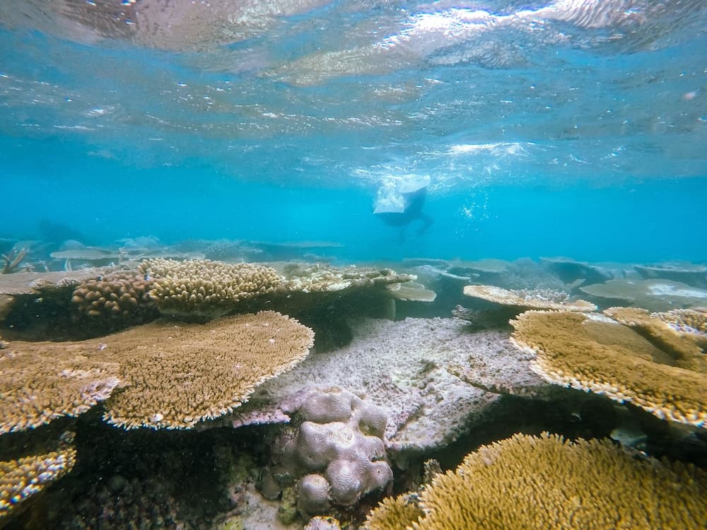 Hide Inn Blue - View 47