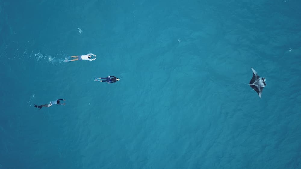 Ganduvaru Villa - View 102