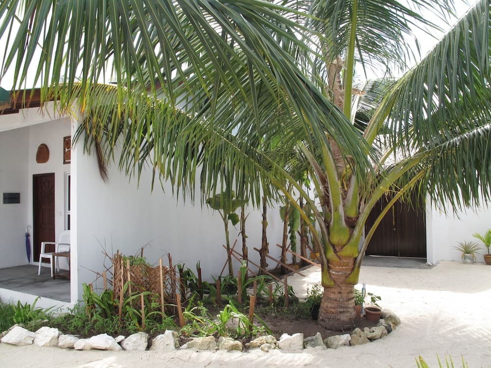 Lagoon View Maldives - View 6