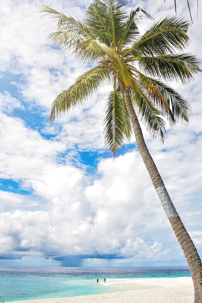 Scuba Residence - View 16