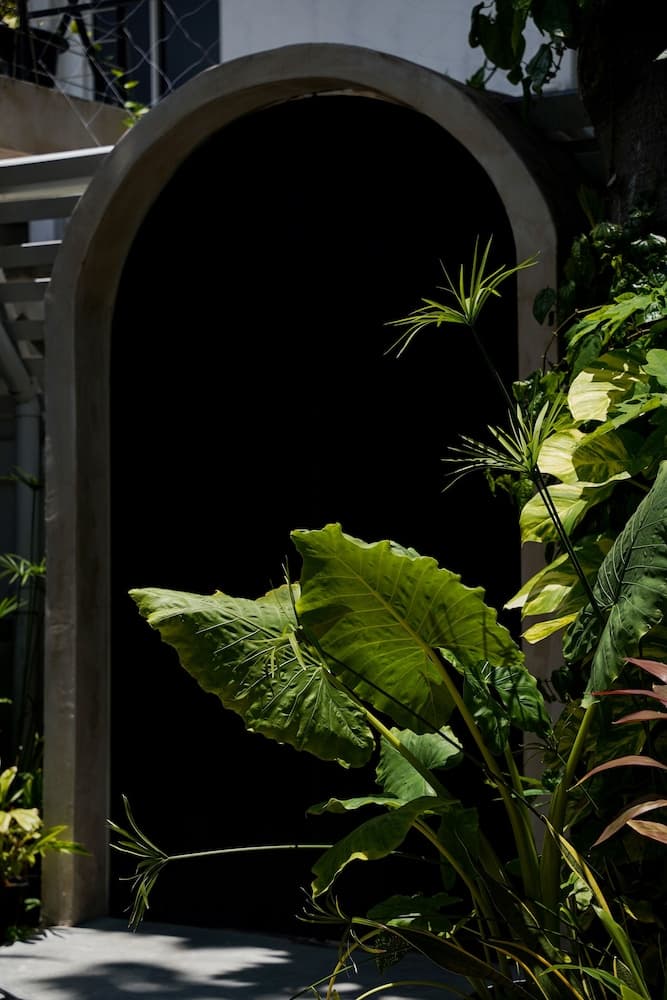 Zinnia Villa - View 60