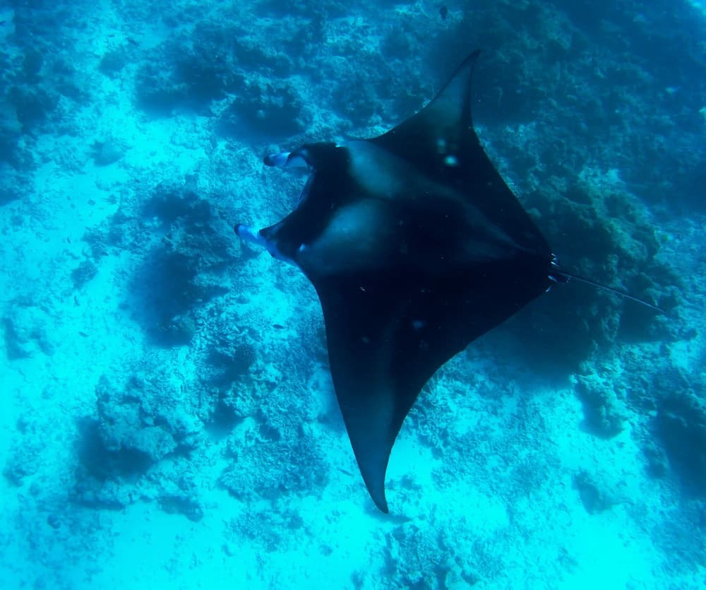 Adroit Beach Inn - View 153