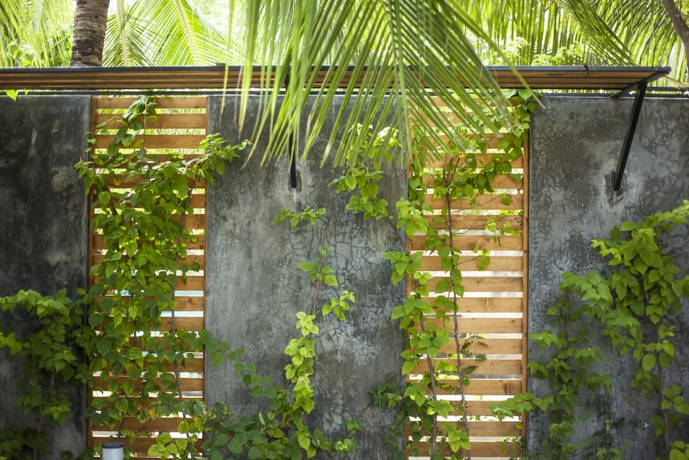 Island Scuba Inn - View 22