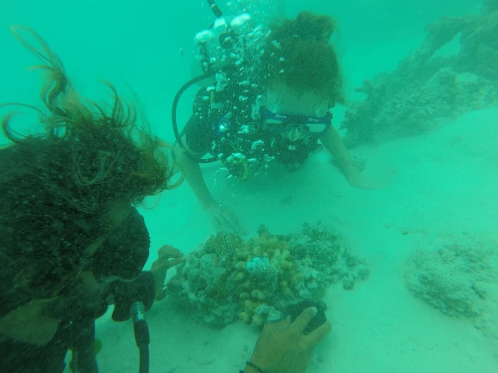 Medhufaru Inn - View 50