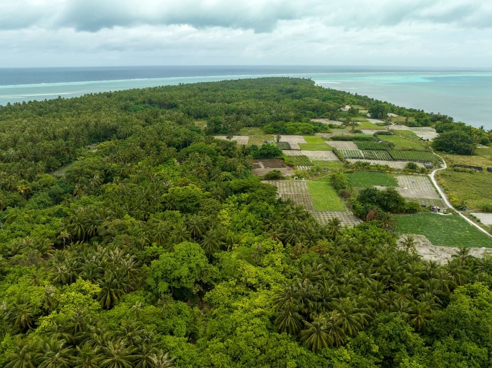 Island Zephyr - View 6
